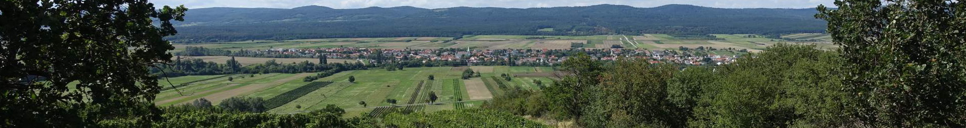 22a_Schuetzen